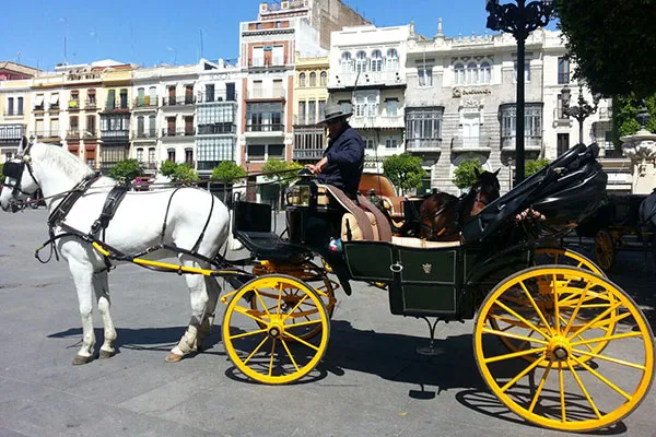 Coche de Caballos
